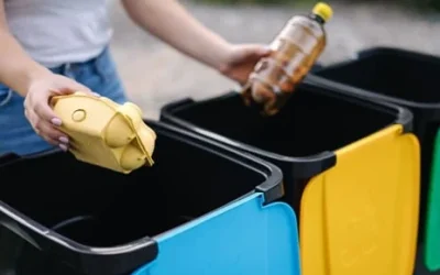 The Importance of Recycling Services: Reducing Waste and Protecting the Environment